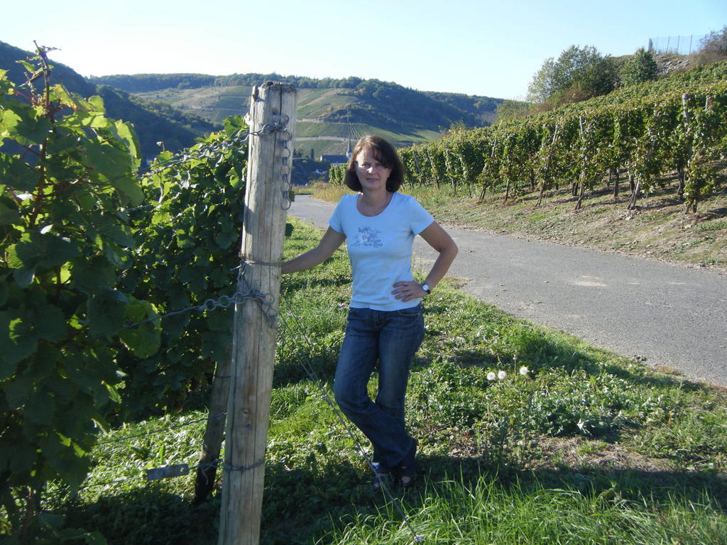 Ferienweingut Hensler Briedel Quarto foto