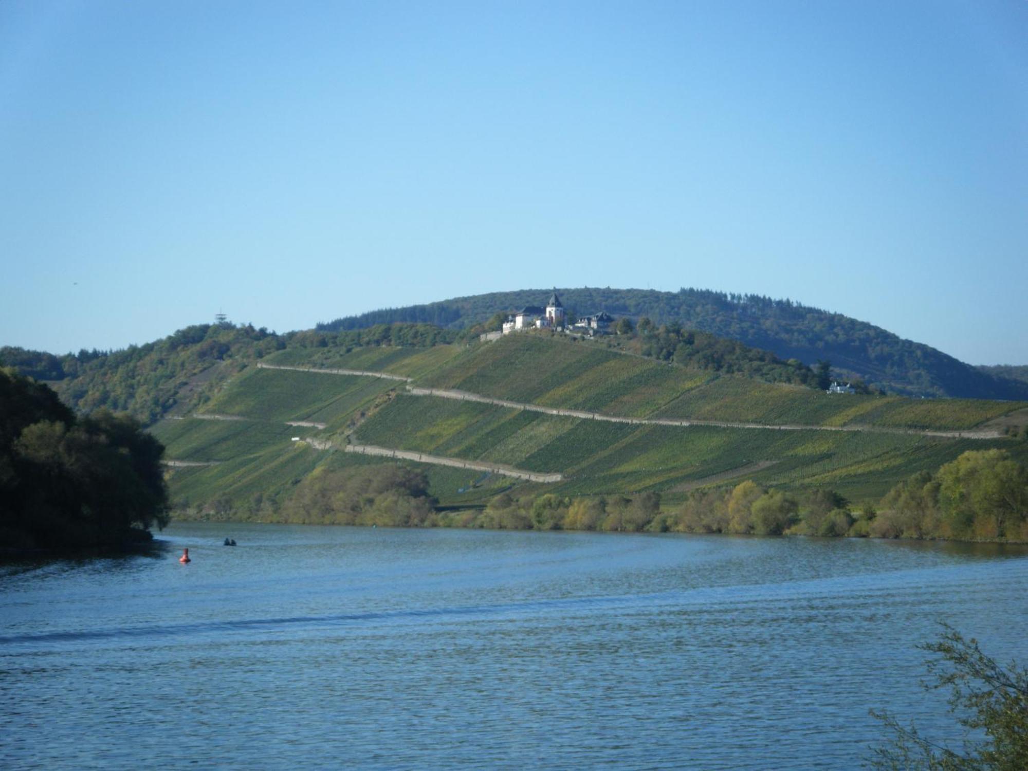 Ferienweingut Hensler Briedel Exterior foto