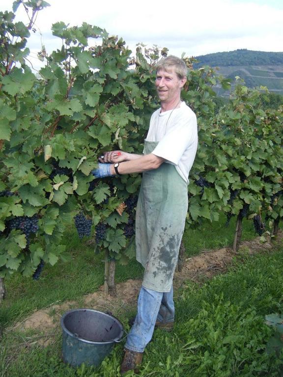 Ferienweingut Hensler Briedel Exterior foto